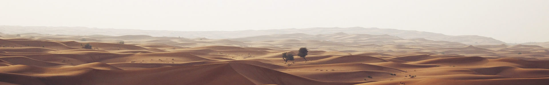 ɽŷϵذ޹˾